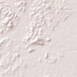 Chiang Rai Terrain Map