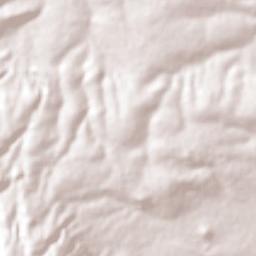 Tziritzícuaro Terrain Map