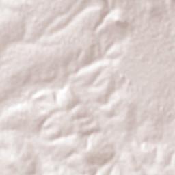 Tlapanaloya Terrain Map
