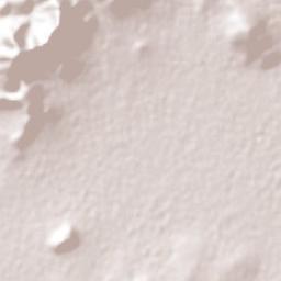 Vicente Guerrero (San Javier) Terrain Map