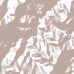 Zoyotla Terrain Map