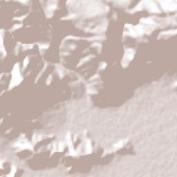 El Cacalote Terrain Map