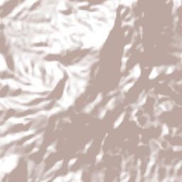 Xochitlán Terrain Map