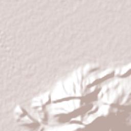 Bellas Fuentes Terrain Map