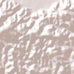 Mesón Nuevo (Cañada de la Magdalena) Terrain Map