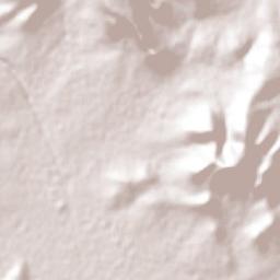 Salitrillo Terrain Map