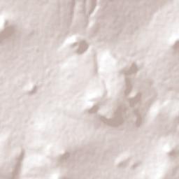 San Agustín Zapotlán Terrain Map