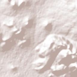 Tlanalapa Terrain Map