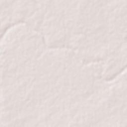 Puntamba Terrain Map