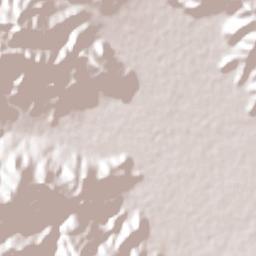 Autlán de Navarro Terrain Map