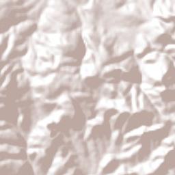 Buenavista Terrain Map