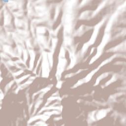 Santa Cruz del Monte Terrain Map