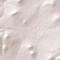 San Miguel Atepoxco Terrain Map