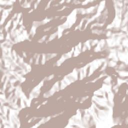 Juan Marcos (San José Buenavista) Terrain Map