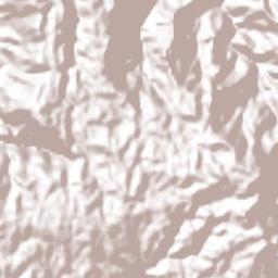 Landero y Coss Terrain Map