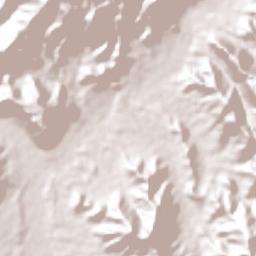 Tamazula de Gordiano Terrain Map