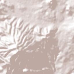 Tocumbo Terrain Map