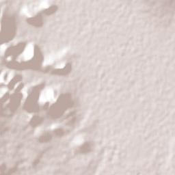 José María Morelos (San José) Terrain Map