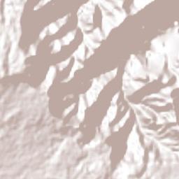 Las Minas Terrain Map