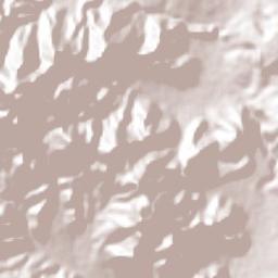 Tuxpan Terrain Map