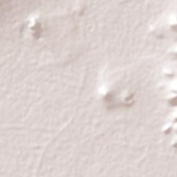 Tequisistlán Primero Terrain Map