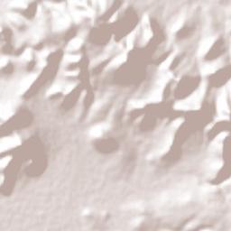 Papalotla Terrain Map