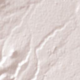 Calpulalpan Terrain Map