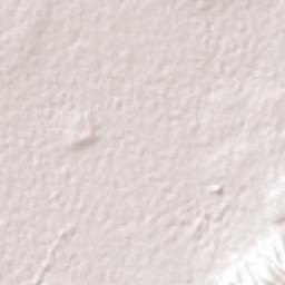 Los Molinos Terrain Map