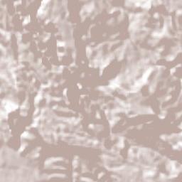 Mesa de Guadalupe Terrain Map