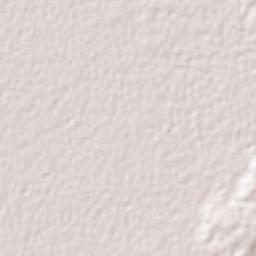 Alfredo V. Bonfil Terrain Map