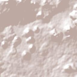 Capácuaro Terrain Map