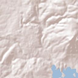 Palizada Terrain Map