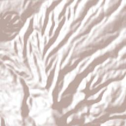 La Soledad Terrain Map