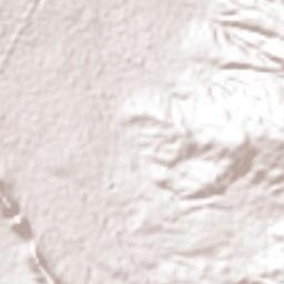Francisco I. Madero Terrain Map