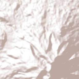 El Escobillo Terrain Map