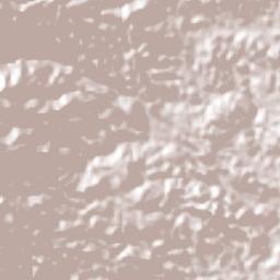 Guadalupe Victoria Terrain Map