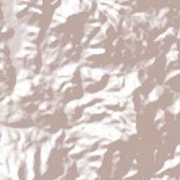 Cuautitlán de García Barragán Terrain Map