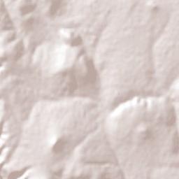 Muñoz Terrain Map