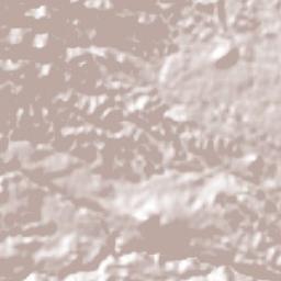 San Marcos de León Terrain Map