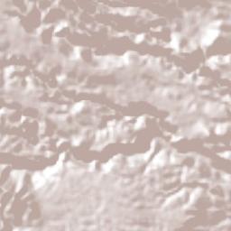 Emiliano Zapata Terrain Map