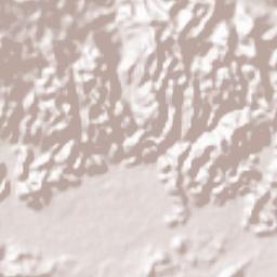 Huyện Quỳ Hợp Terrain Map