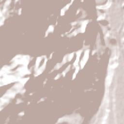 Zacualpan Terrain Map