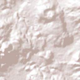 San Martín Obispo (San Martín San Pedro) Terrain Map