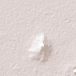Colonia Nativitas Terrain Map