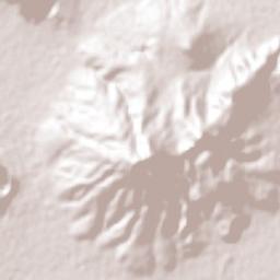 Bosques de la Magdalena Terrain Map