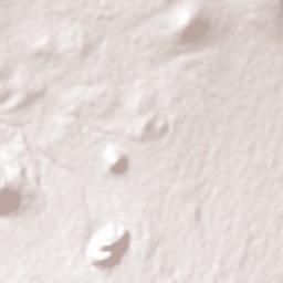 San José Teacalco Terrain Map