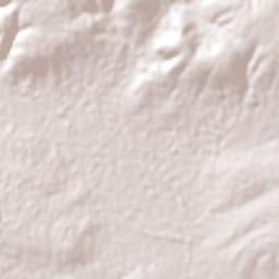 San José Xicohténcatl Terrain Map