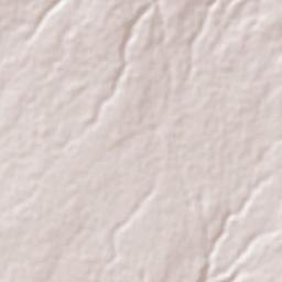 El Trapiche Terrain Map