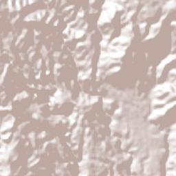 Charapendo Terrain Map