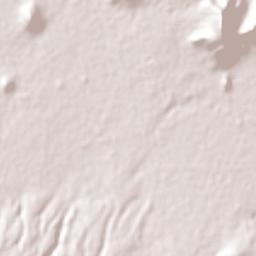 Zinacantepec Terrain Map